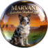 Marvini Australian Shepherd Land